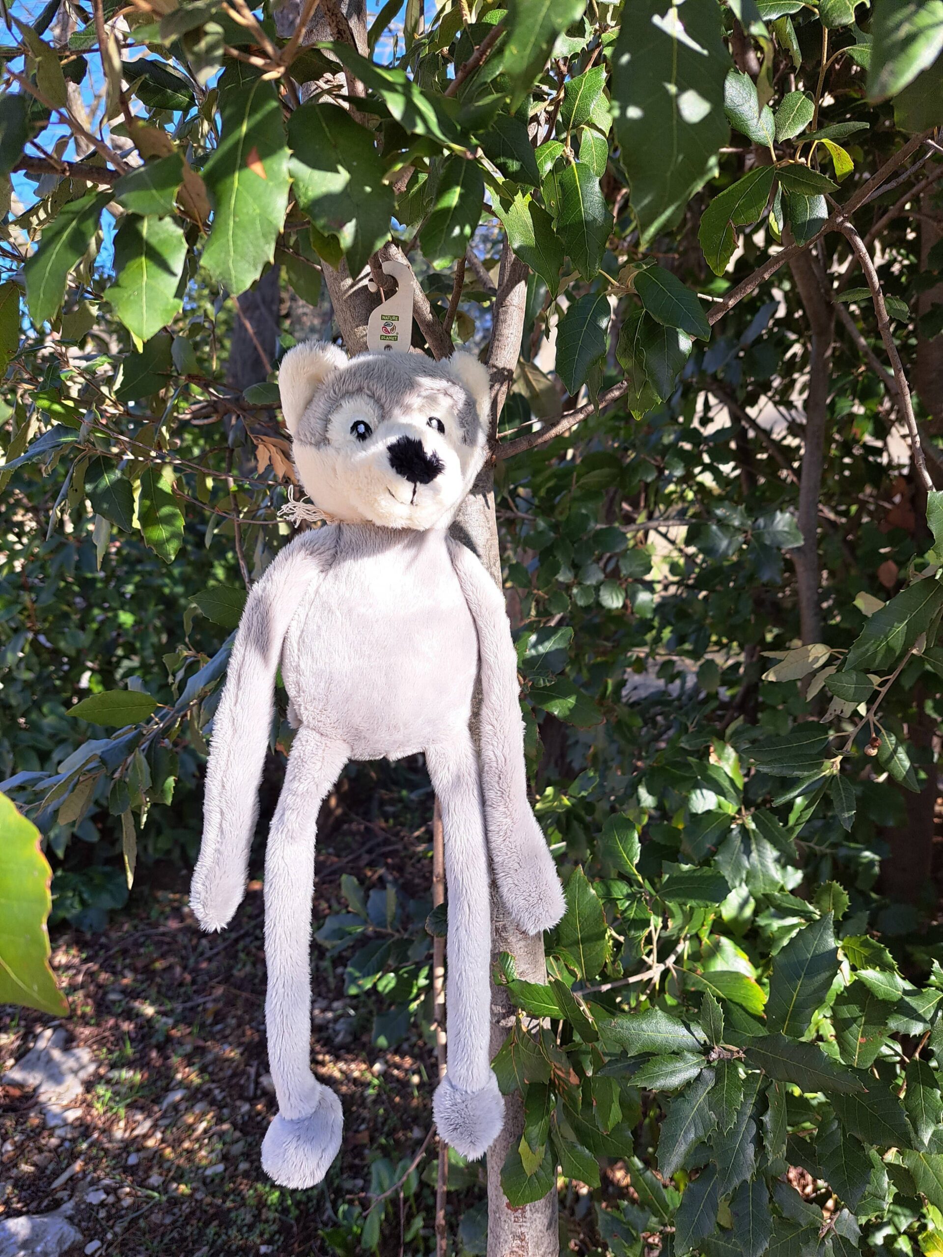 SOFTIES LOUP