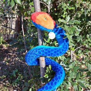 CORAL BLUE SNAKE RE-PETS