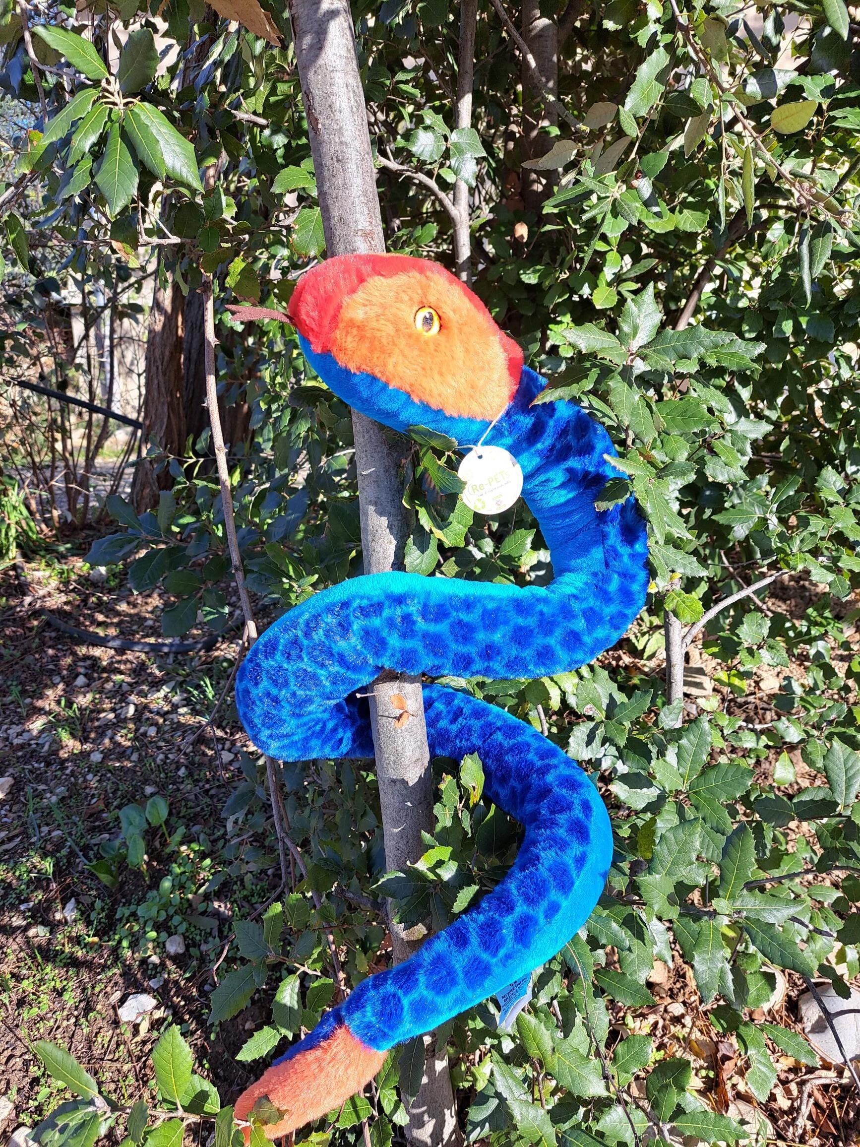 RE-PETS SERPENT BLEU CORAIL
