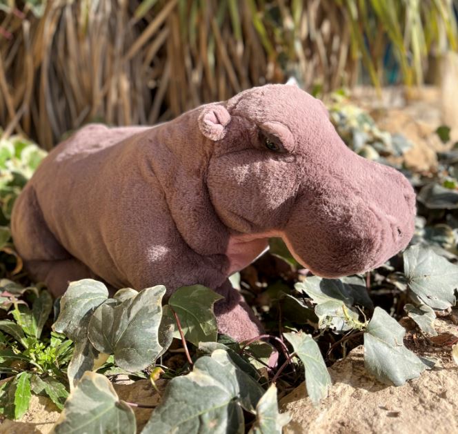 GRAND HIPPOPOTAME