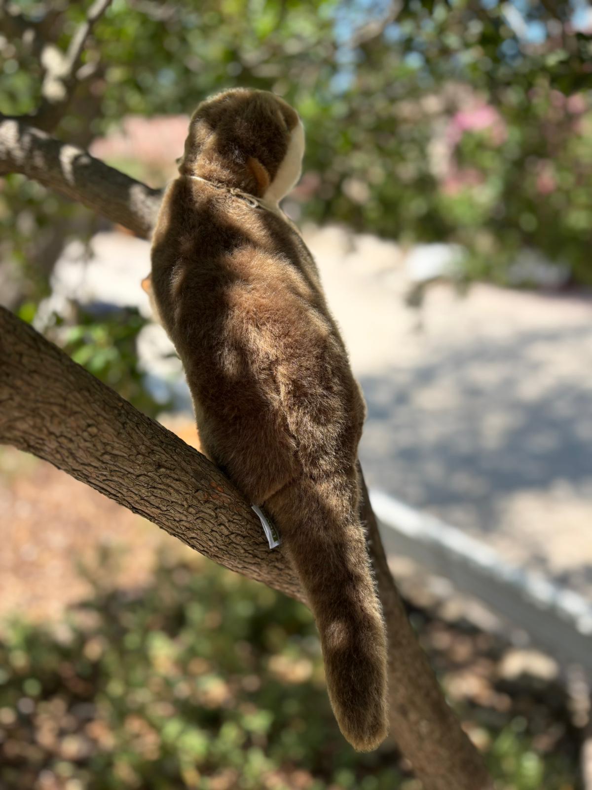 LOUTRE – Image 4