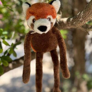 SOFTIES PANDA ROUX
