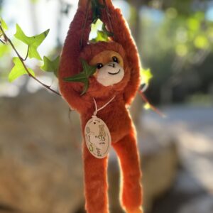PETIT ORANG OUTAN SUSPENDU