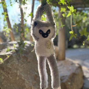 SINGE SUSPENDU LÉMURIEN