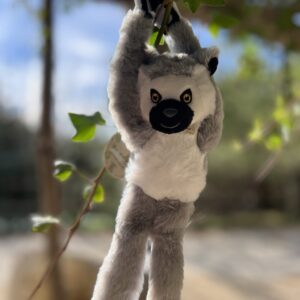 PETIT SINGE LÉMURIEN
