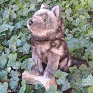 LOUP GRIS