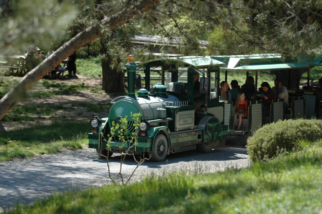 Petit train