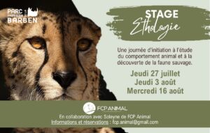 Stages d&rsquo;éthologie