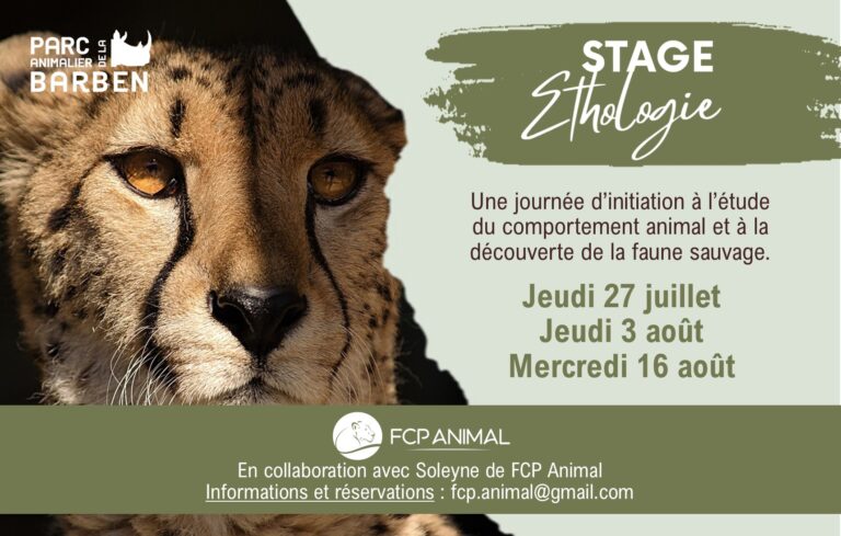 Stages d’éthologie
