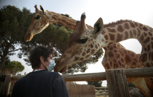 La vie au zoo continue
