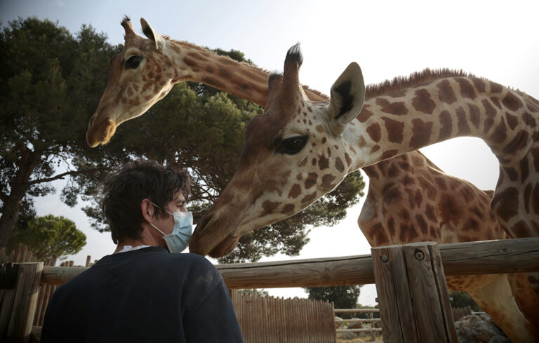 La vie au zoo continue