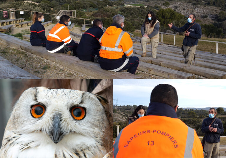 Collaboration avec les pompiers de Pélissanne