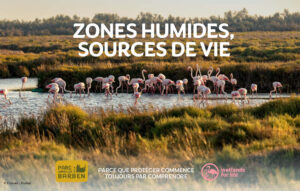 Animations du 14 au 17 mai : à la découverte des zones humides !