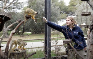 VIDEO : Portrait de Pauline, soigneuse animalière du secteur primates
