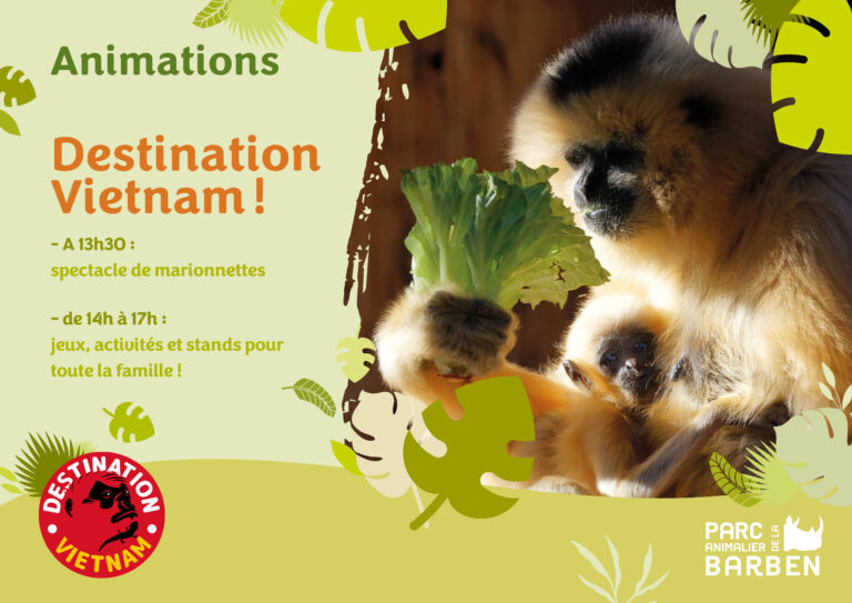Du 1er au 04 mai, animation « destination Vietnam » !